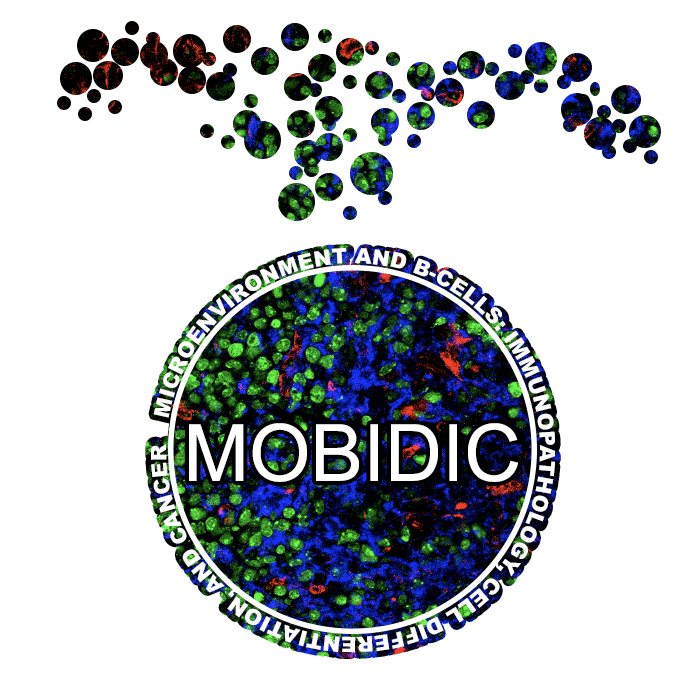OffreThese_U1236 MOBIDIC