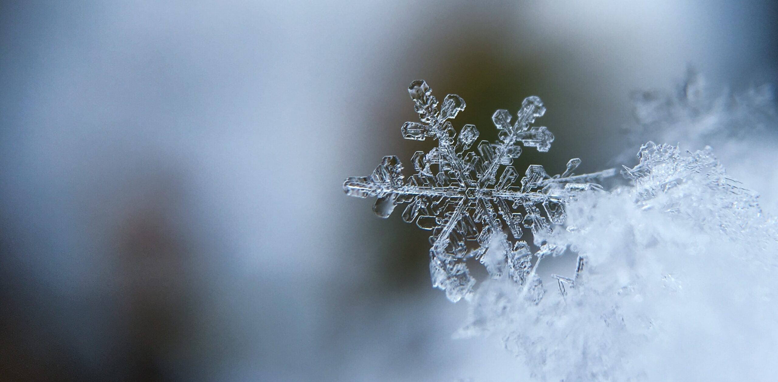 Hiver24_bg