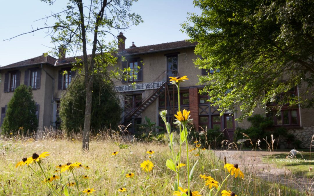 2025 Summer School on Innovation, Genetics, Epigenetics and Immuno-Therapeutics in Oncology